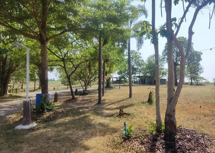 Banrai Pornsawun Suan Phueng