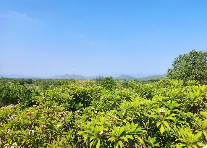Banrai Pornsawun Suan Phueng